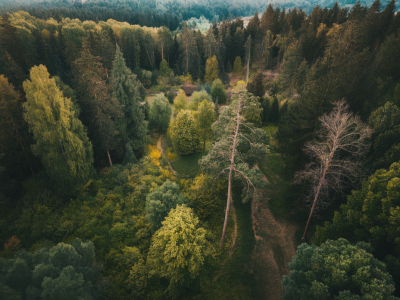 Wie behebe ich häufige belichtungsprobleme bei großformatigen panoramen aus der luft